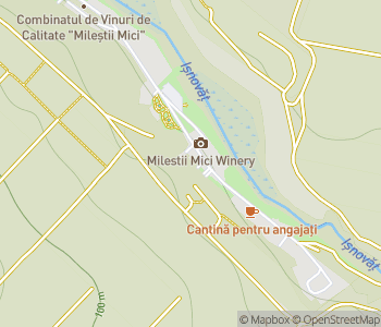 Mapa lokality Milestii Mici