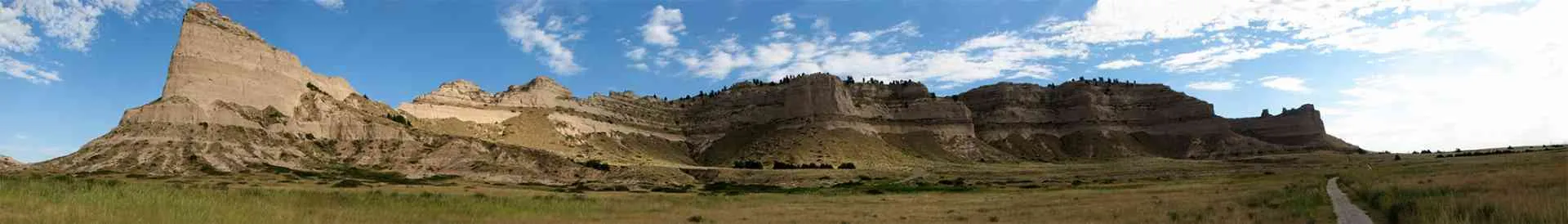 Background obrázok pre taxonómiu