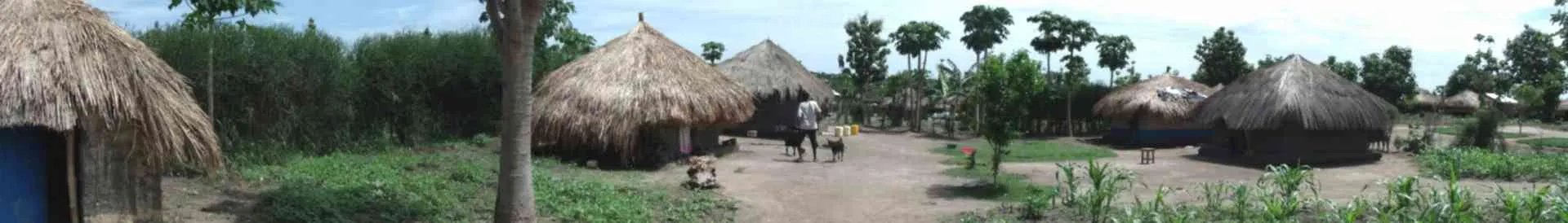 Background obrázok pre taxonómiu