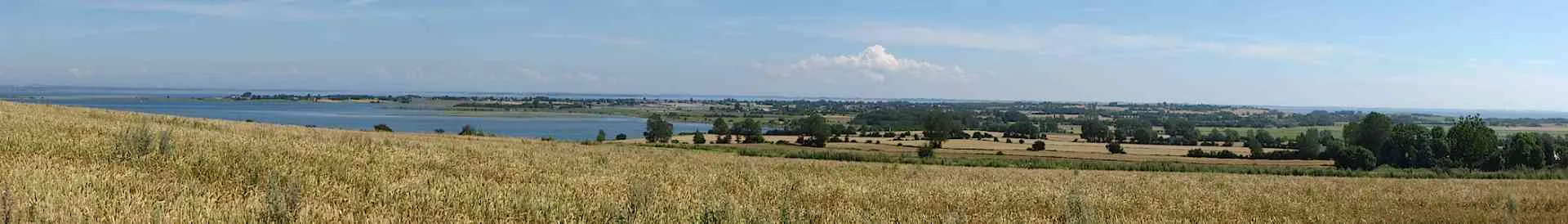 Background obrázok pre taxonómiu