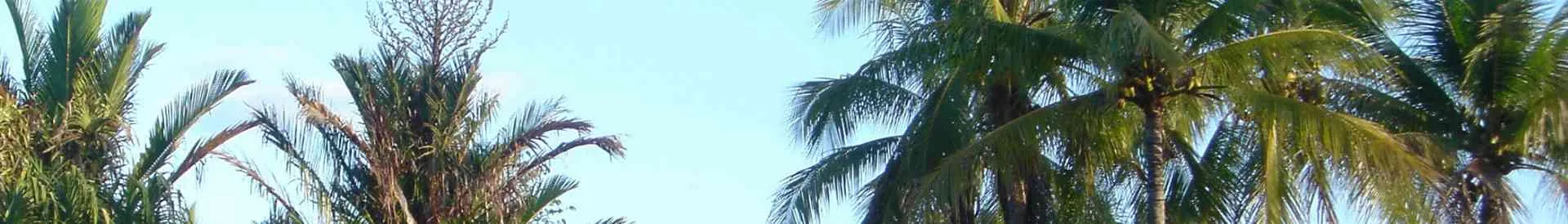 Background obrázok pre taxonómiu