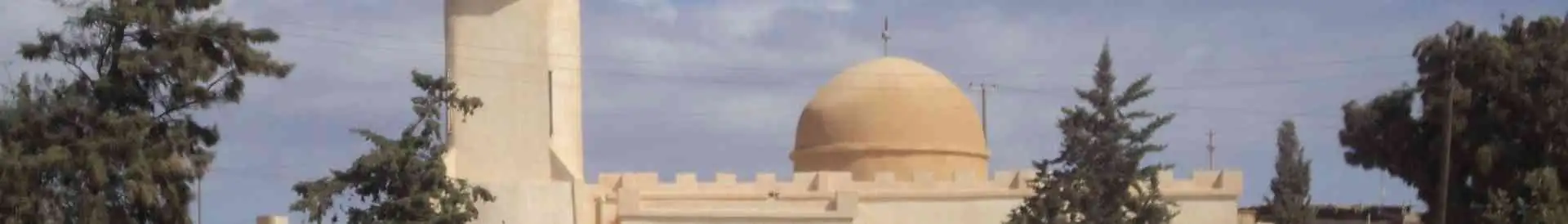 Background obrázok pre taxonómiu