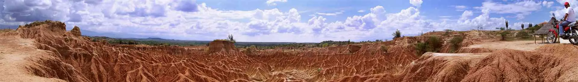 Background obrázok pre taxonómiu