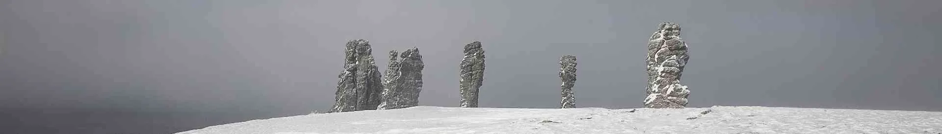 Background obrázok pre taxonómiu