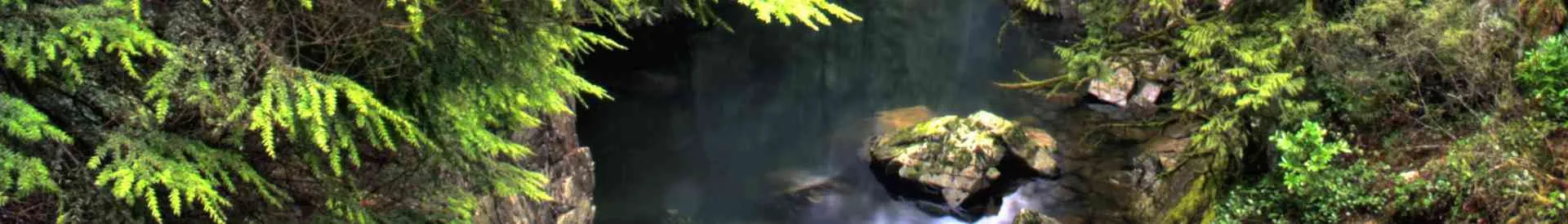 Background obrázok pre taxonómiu