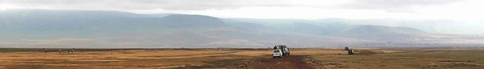 Background obrázok pre taxonómiu