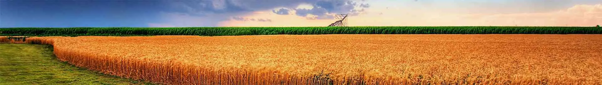 Kansas