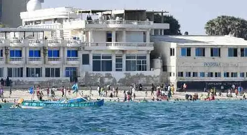 Background obrázok pre taxonómiu