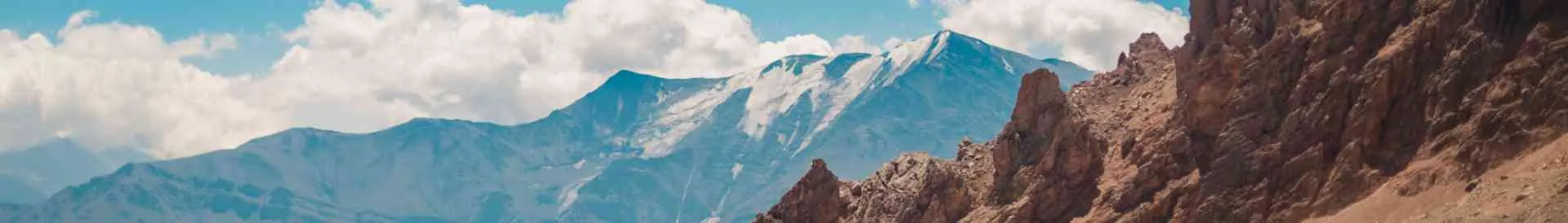 Background obrázok pre taxonómiu