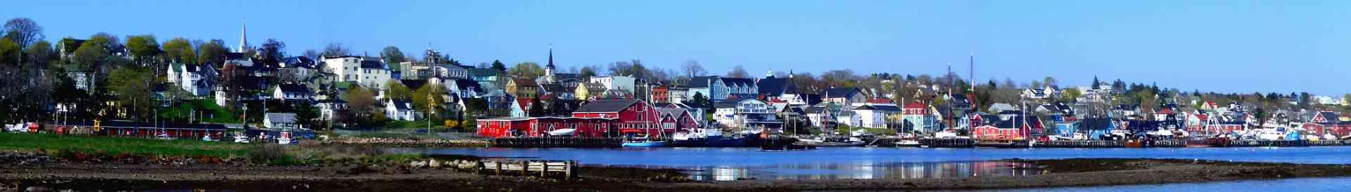 Background obrázok pre taxonómiu