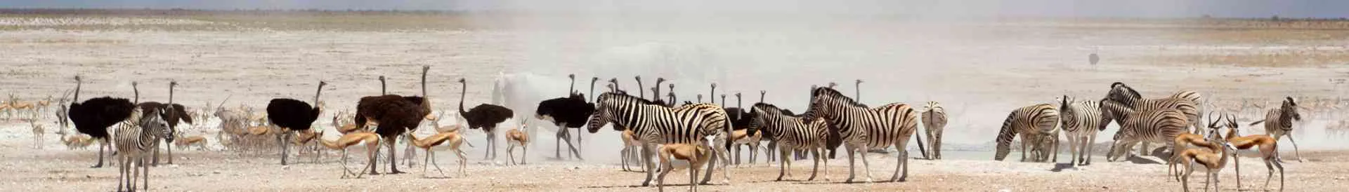 Afrika