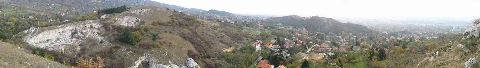 Background obrázok pre taxonómiu