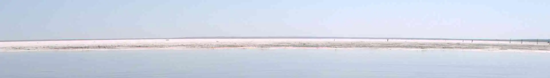 Background obrázok pre taxonómiu