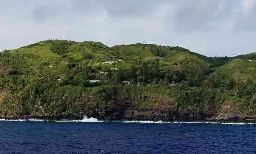 Background obrázok pre taxonómiu