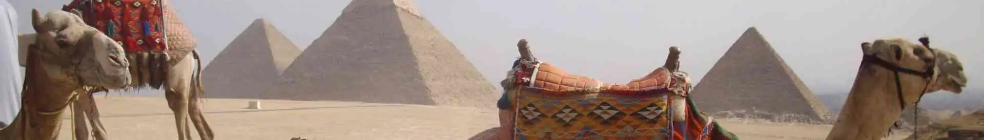 Background obrázok pre taxonómiu