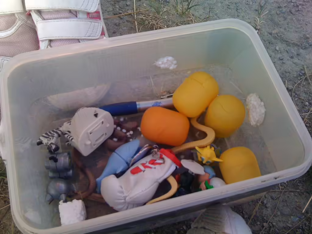Geocaching