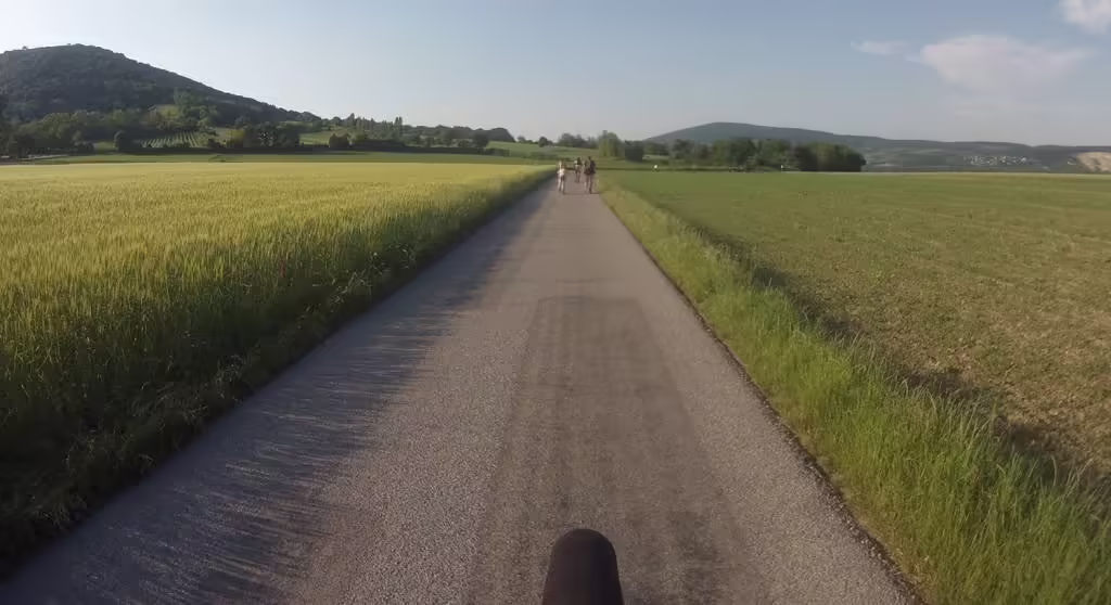 Kolobežkosplav