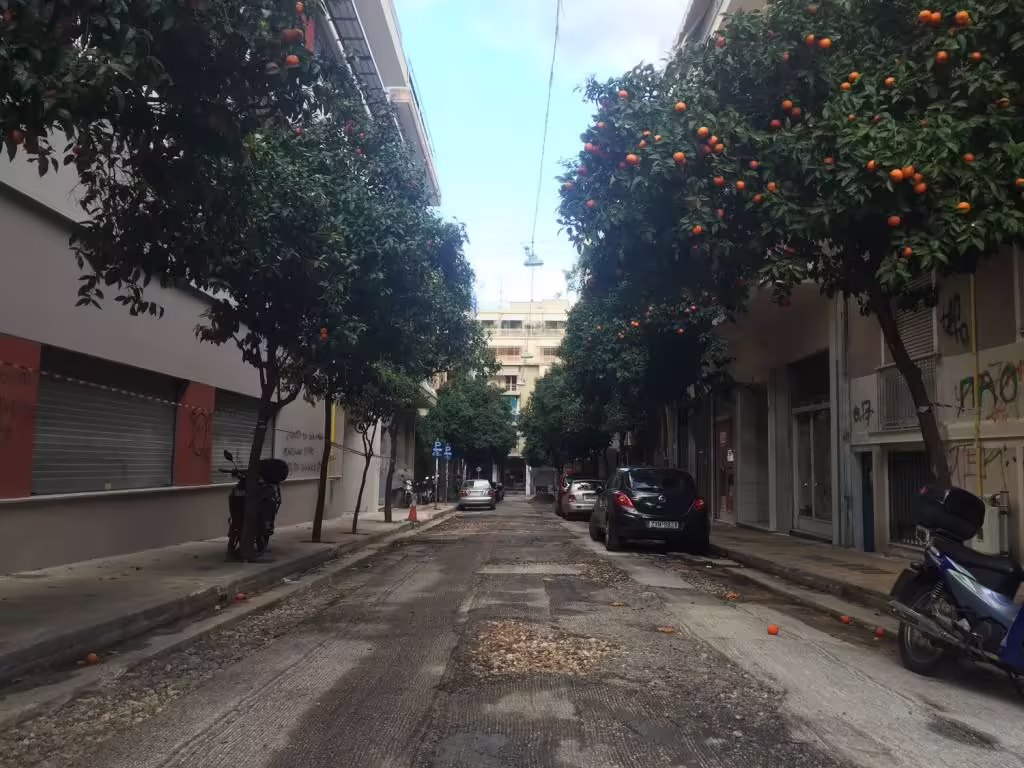Naša alej, kde sme boli ubytovaní