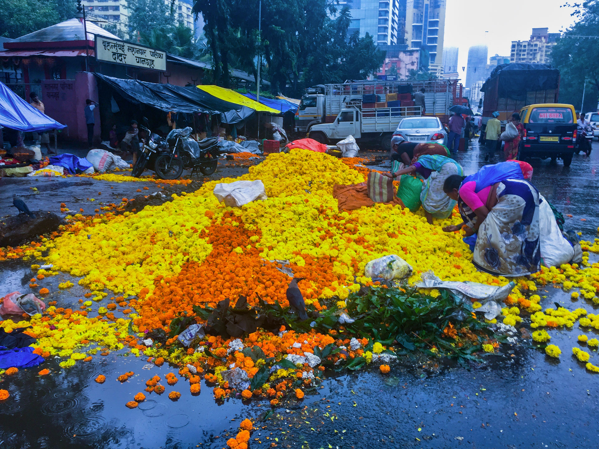 Kvetinový trh
