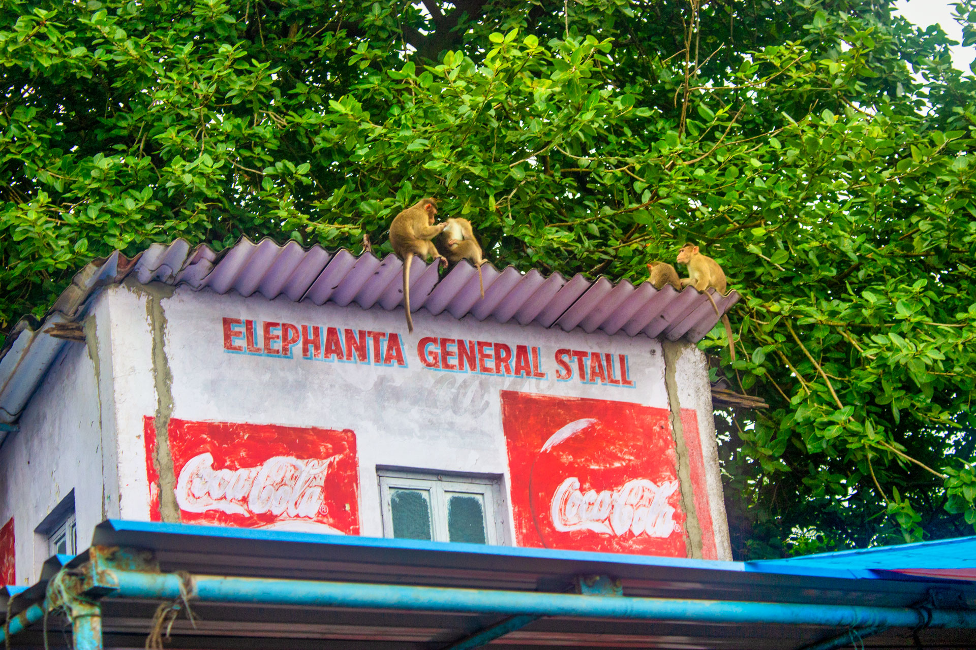 Elephanta General Stall