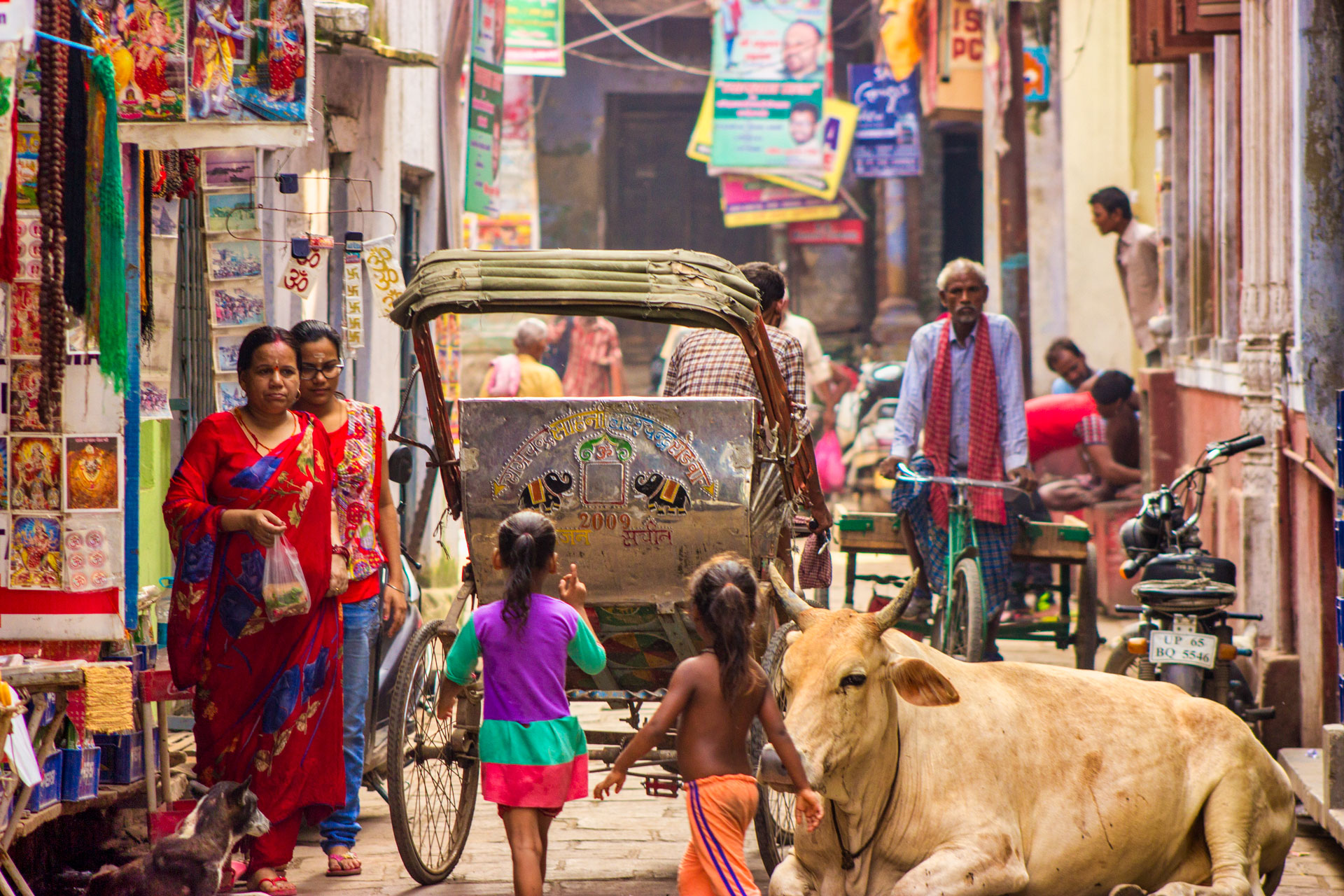 Kravy v Indii