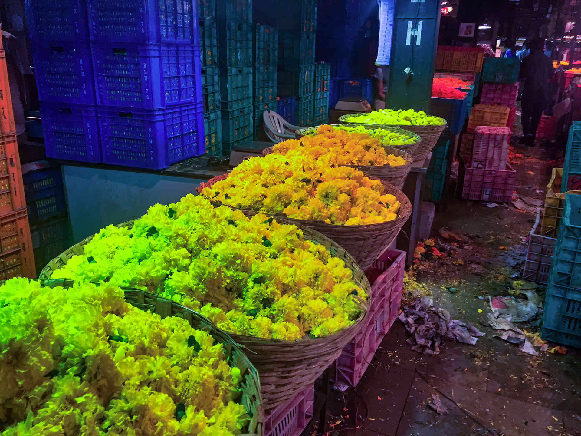 Dadar, Mumbai, India