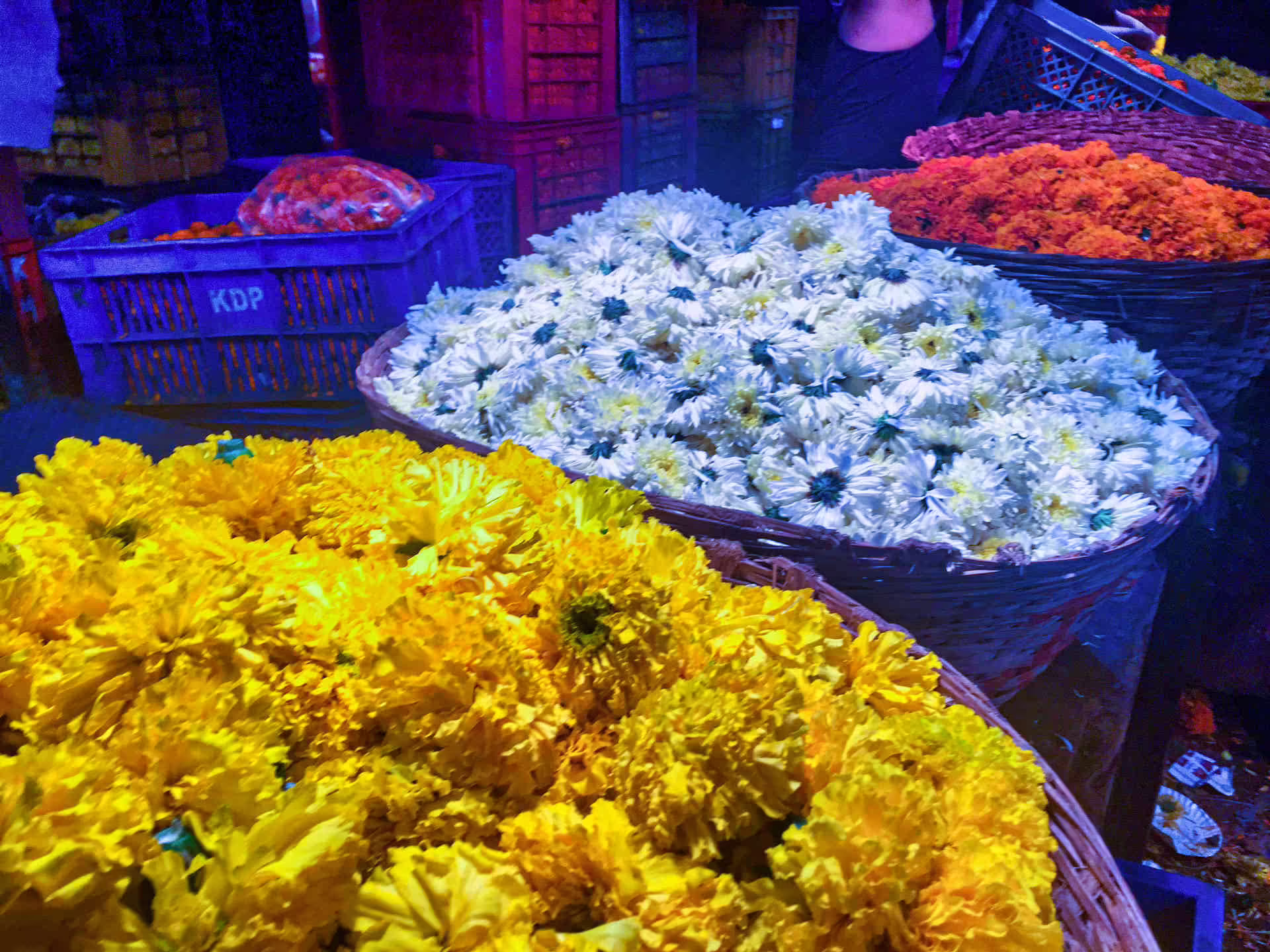 Dadar, Mumbai, India