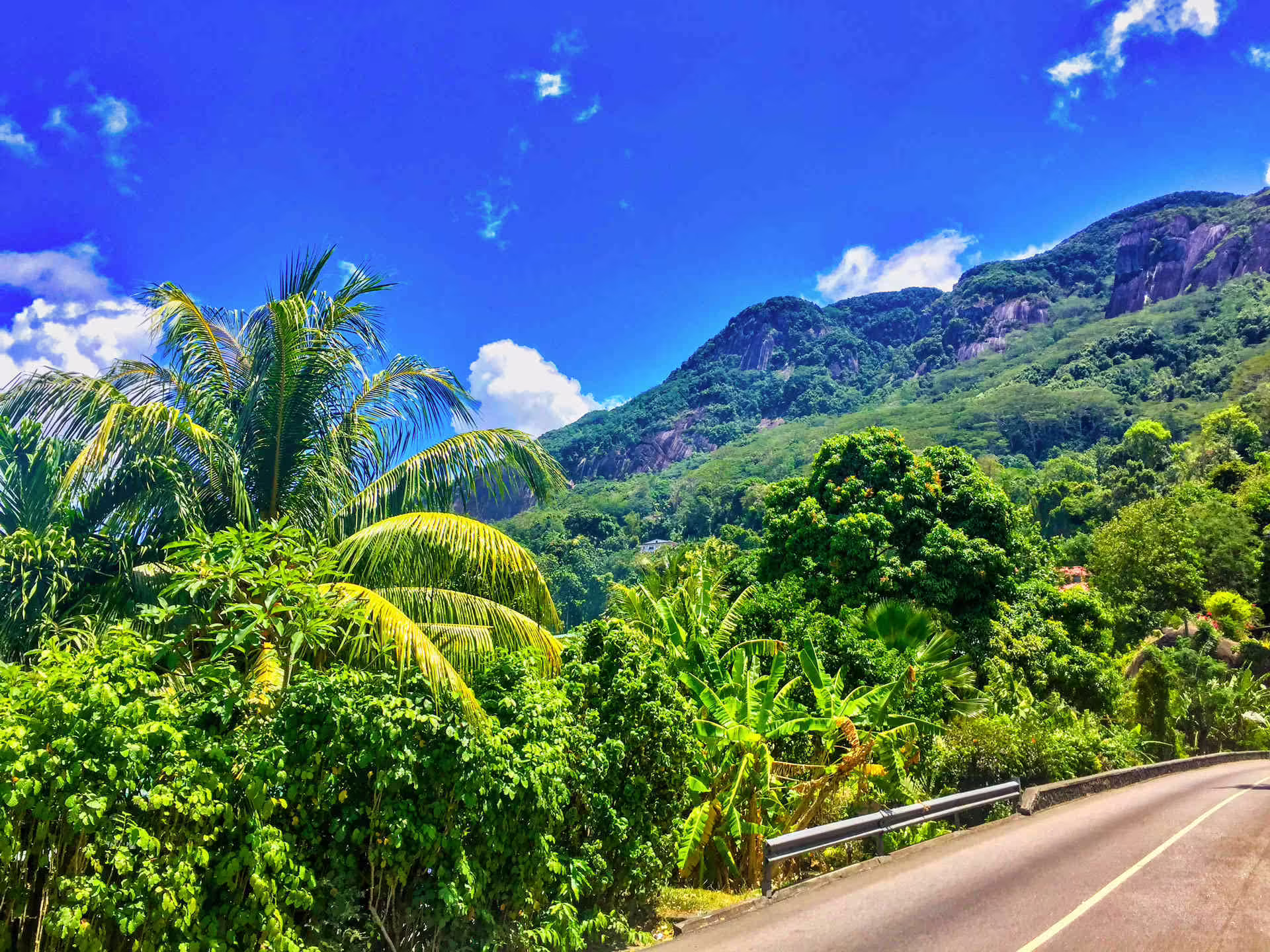 Sans Soucis Rd