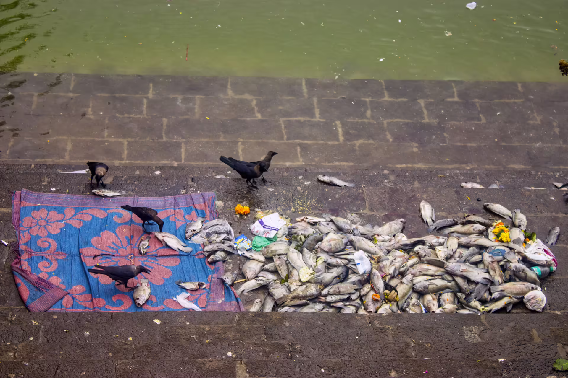 Banganga Tank