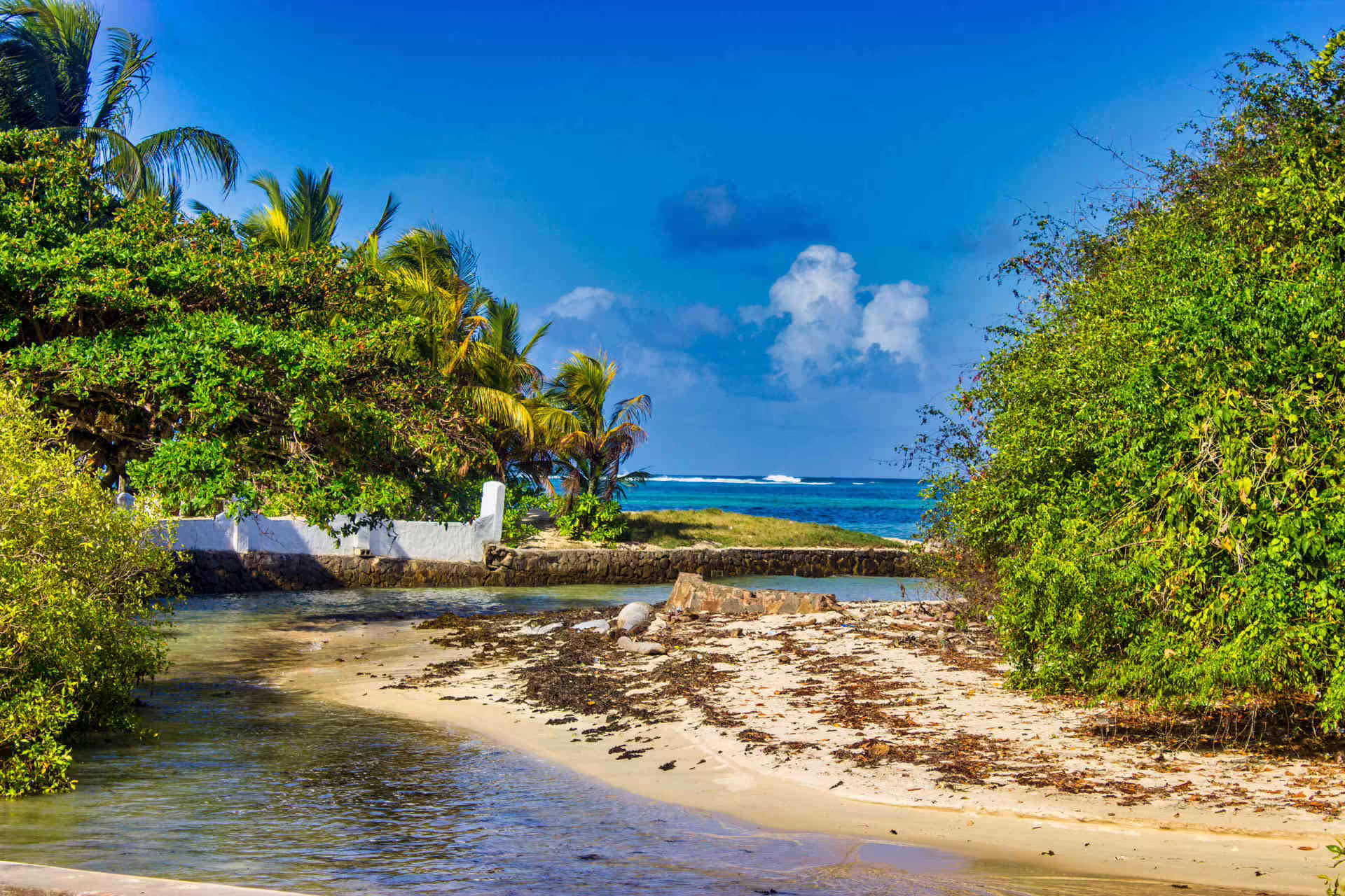 Seychelly