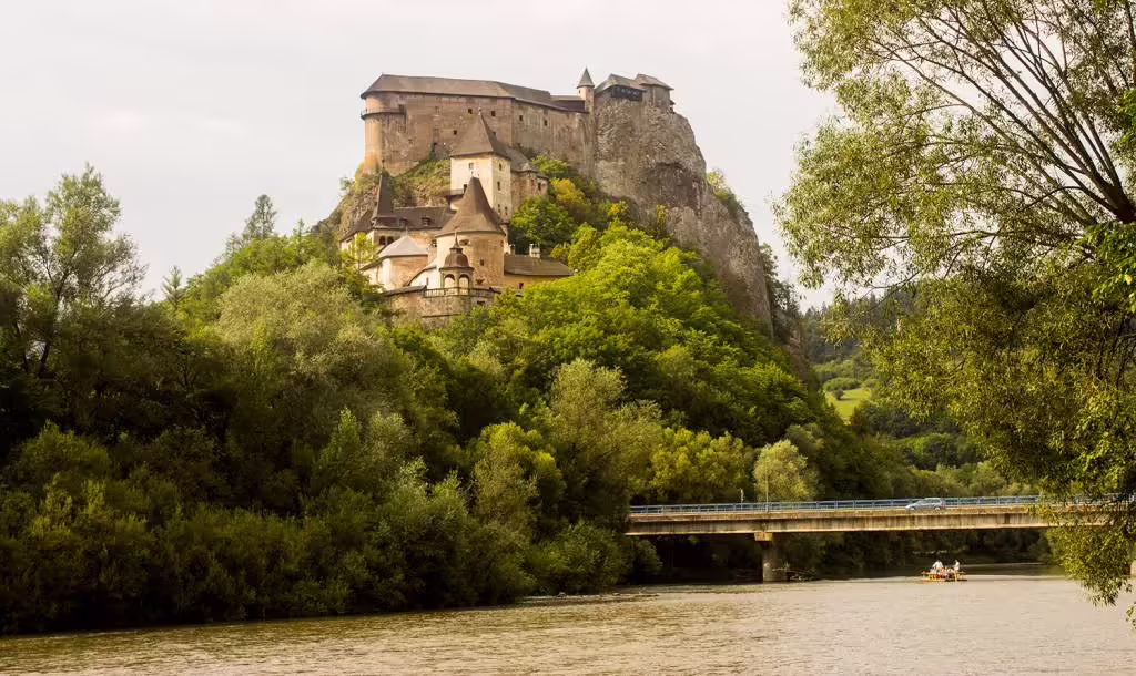 Orava