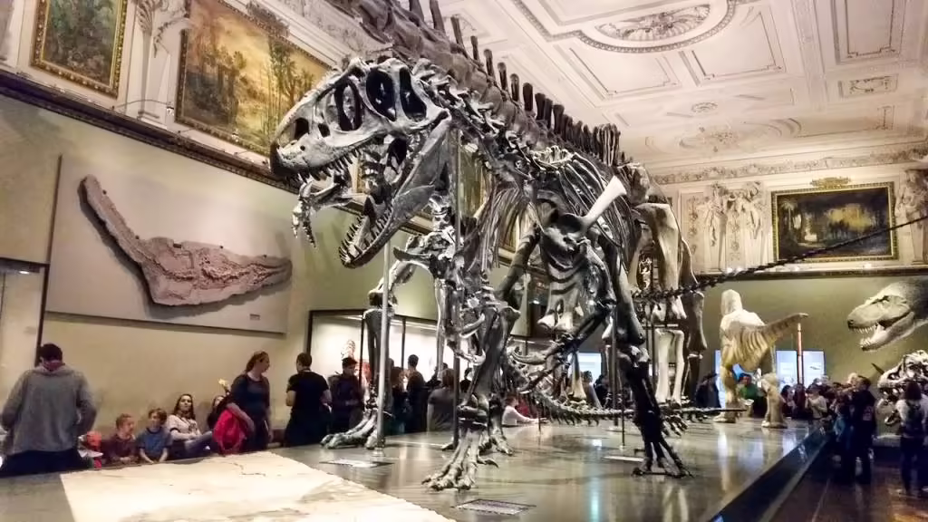 Naturhistorisches Museum, Vienna