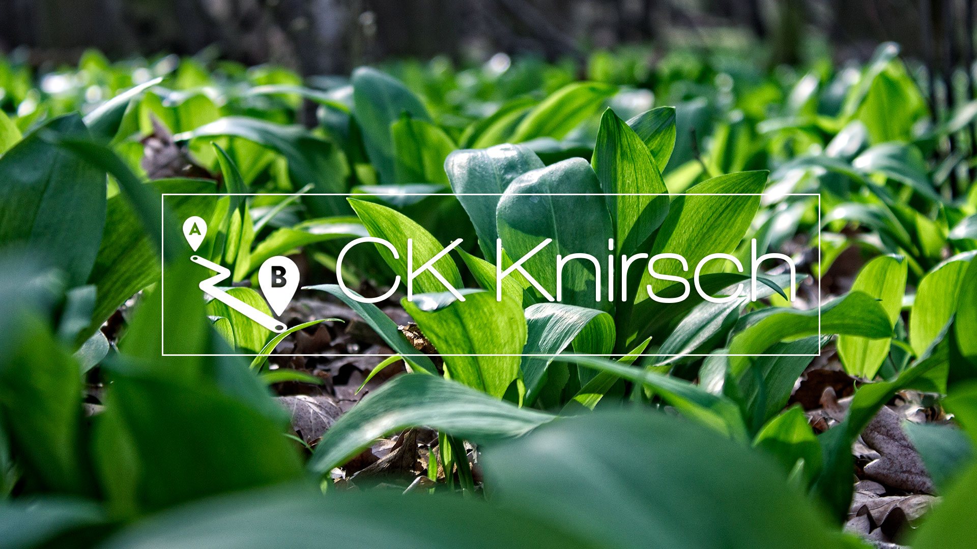 Wallpaper CK Knirsch