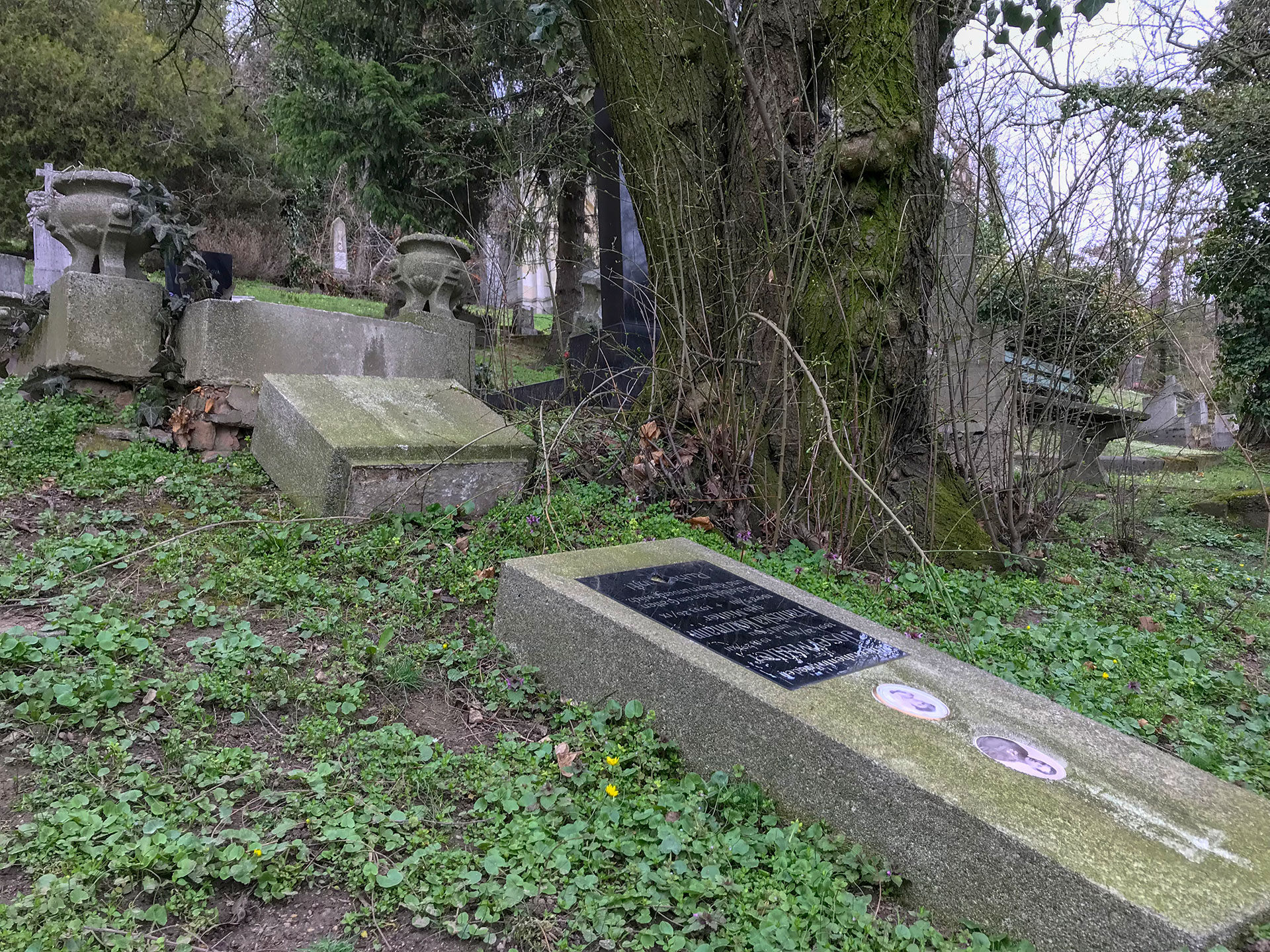 Cintorín v Bratislave