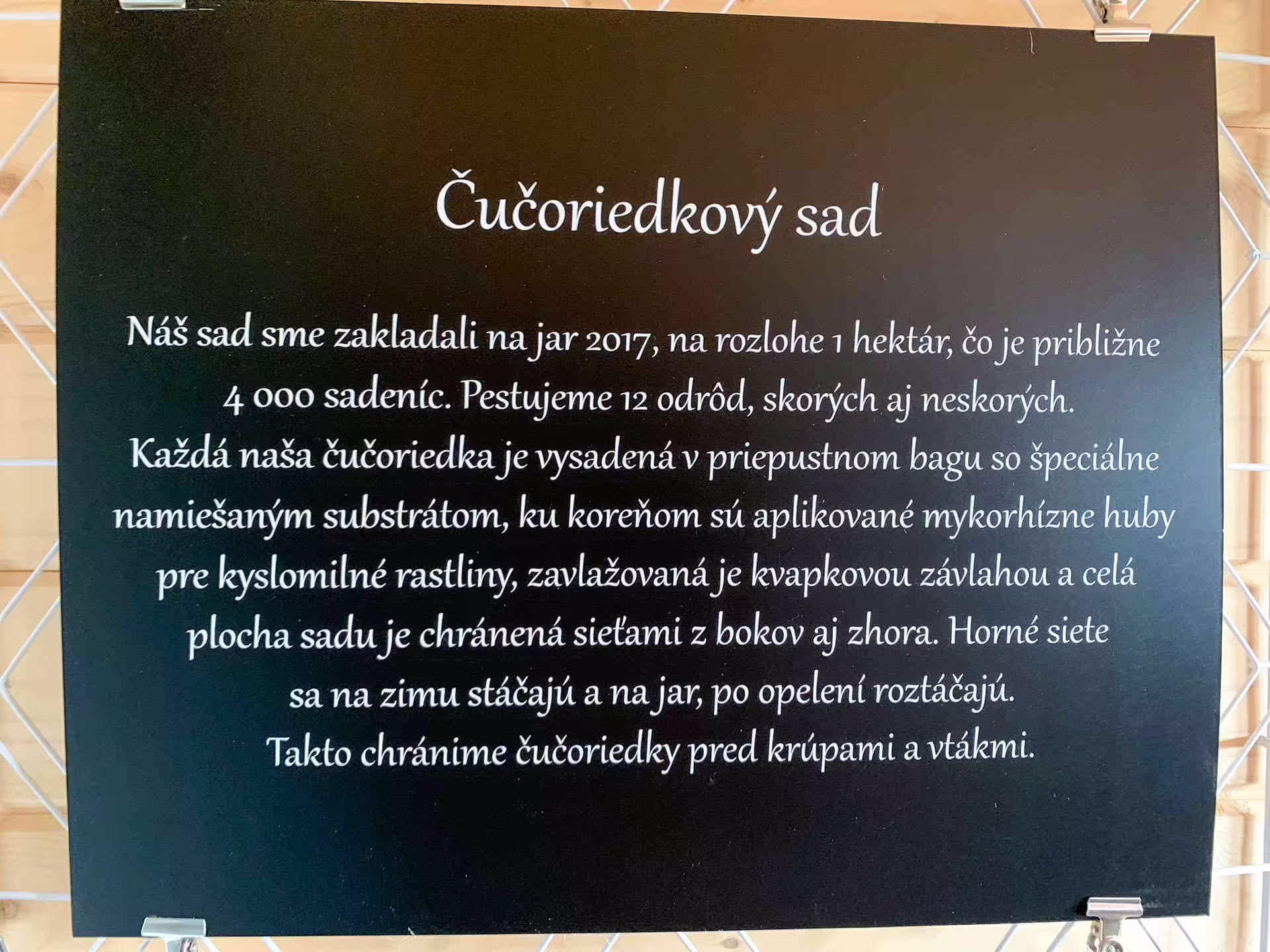 Čučoriedkova farma