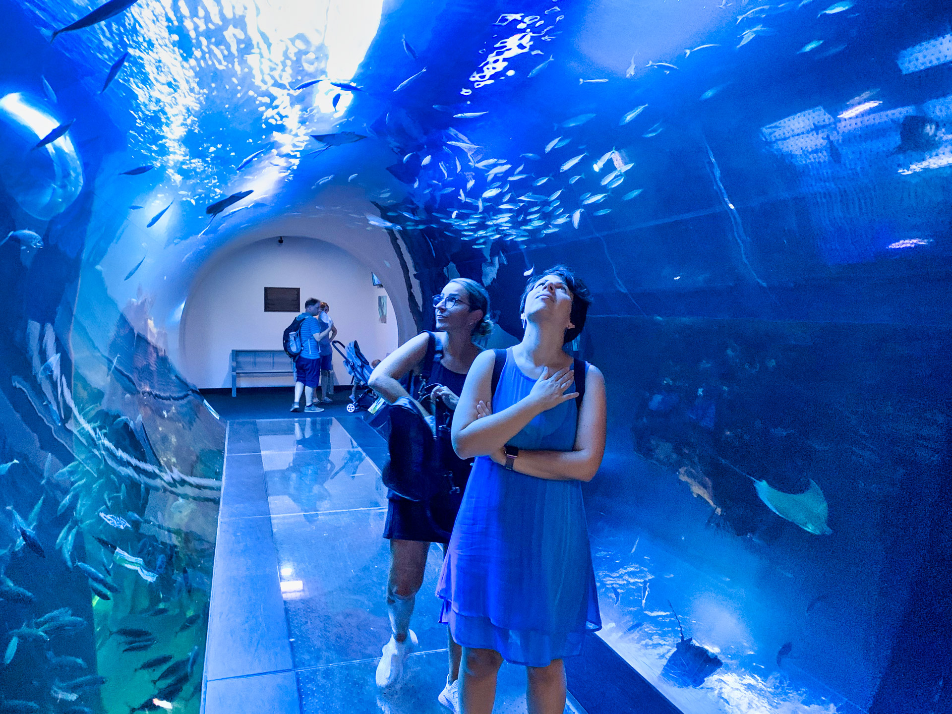 Aqua Terra Zoo