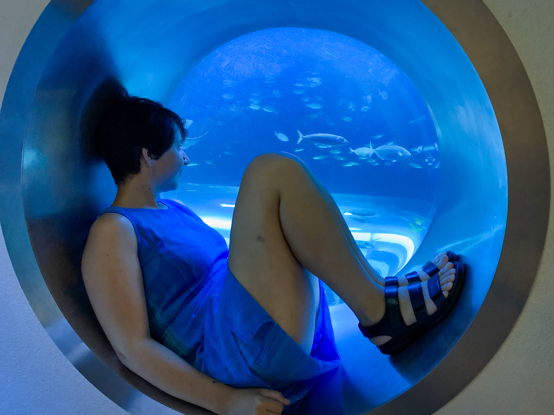 Aqua Terra Zoo