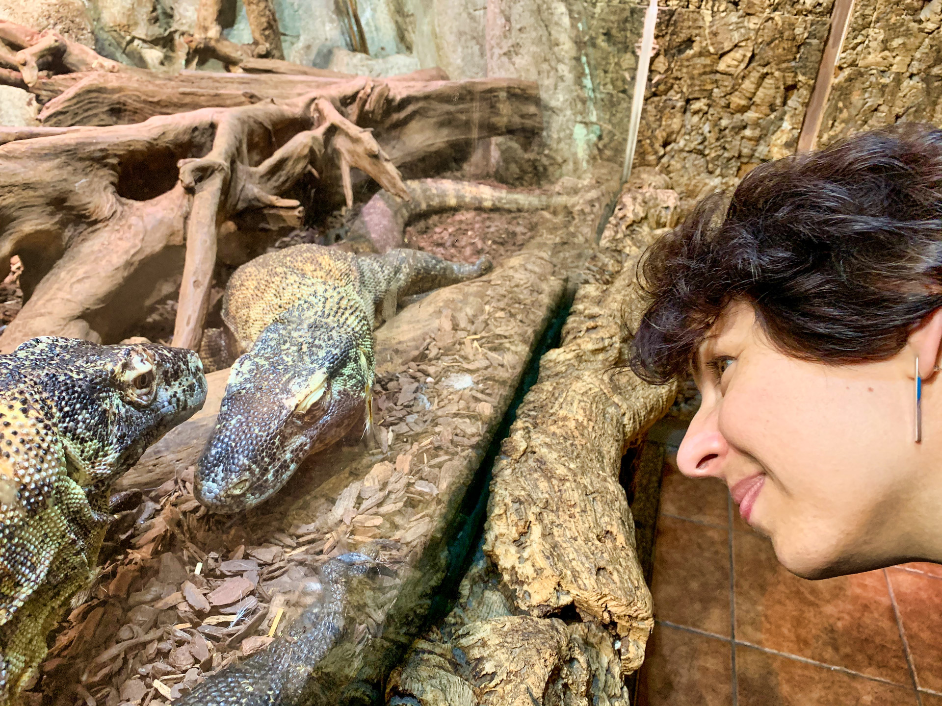 Aqua Terra Zoo