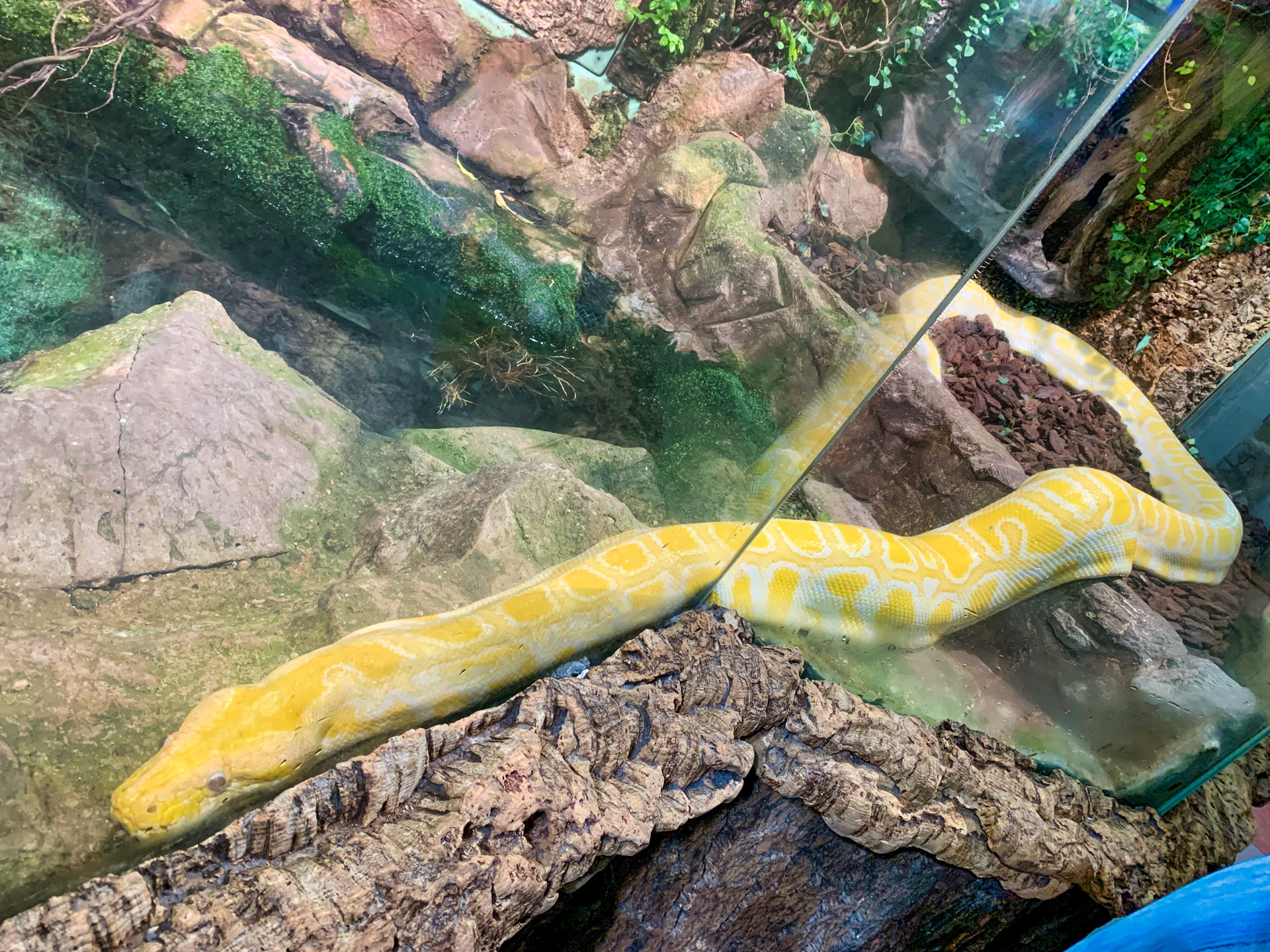 Aqua Terra Zoo