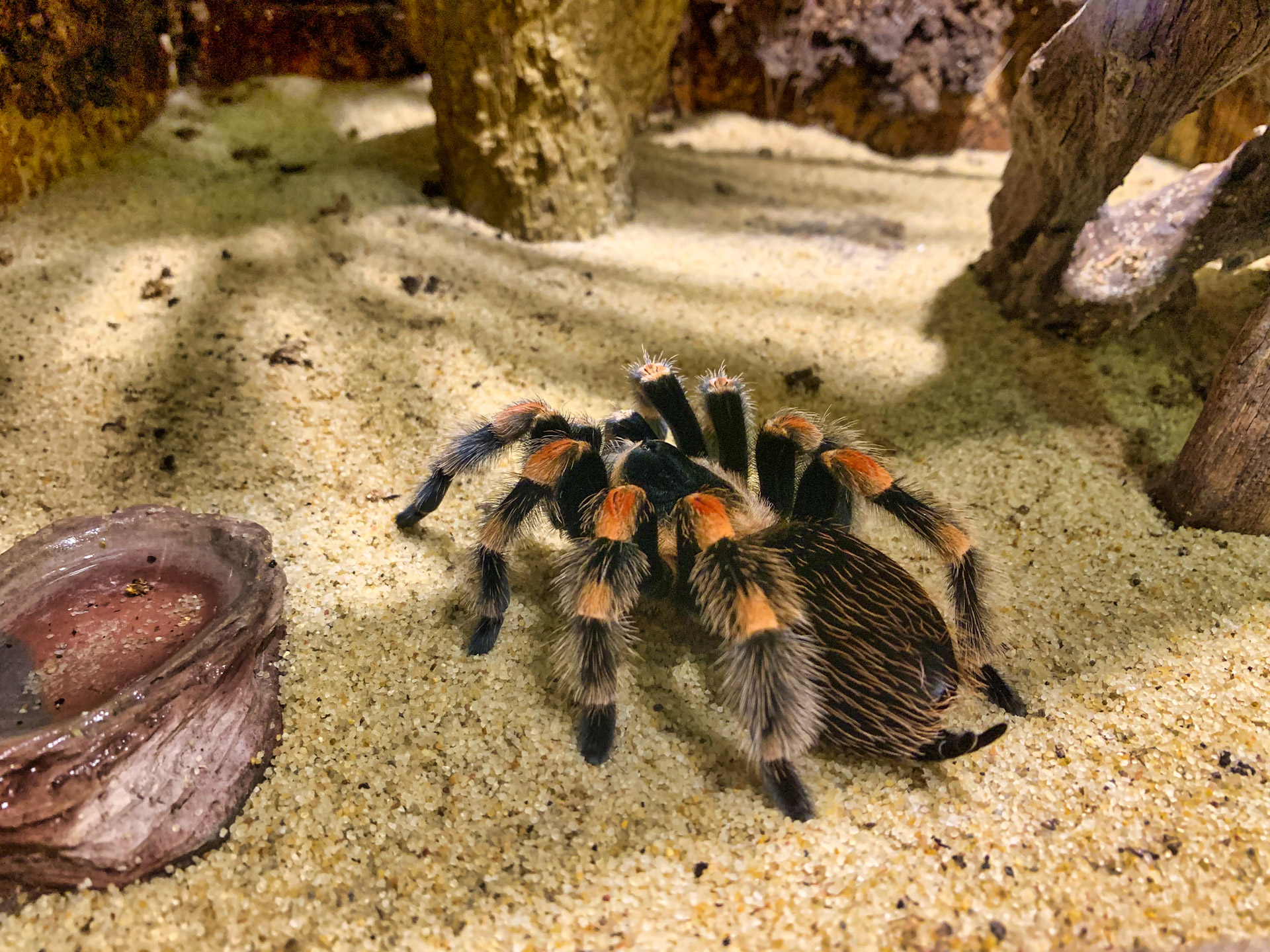 Aqua Terra Zoo