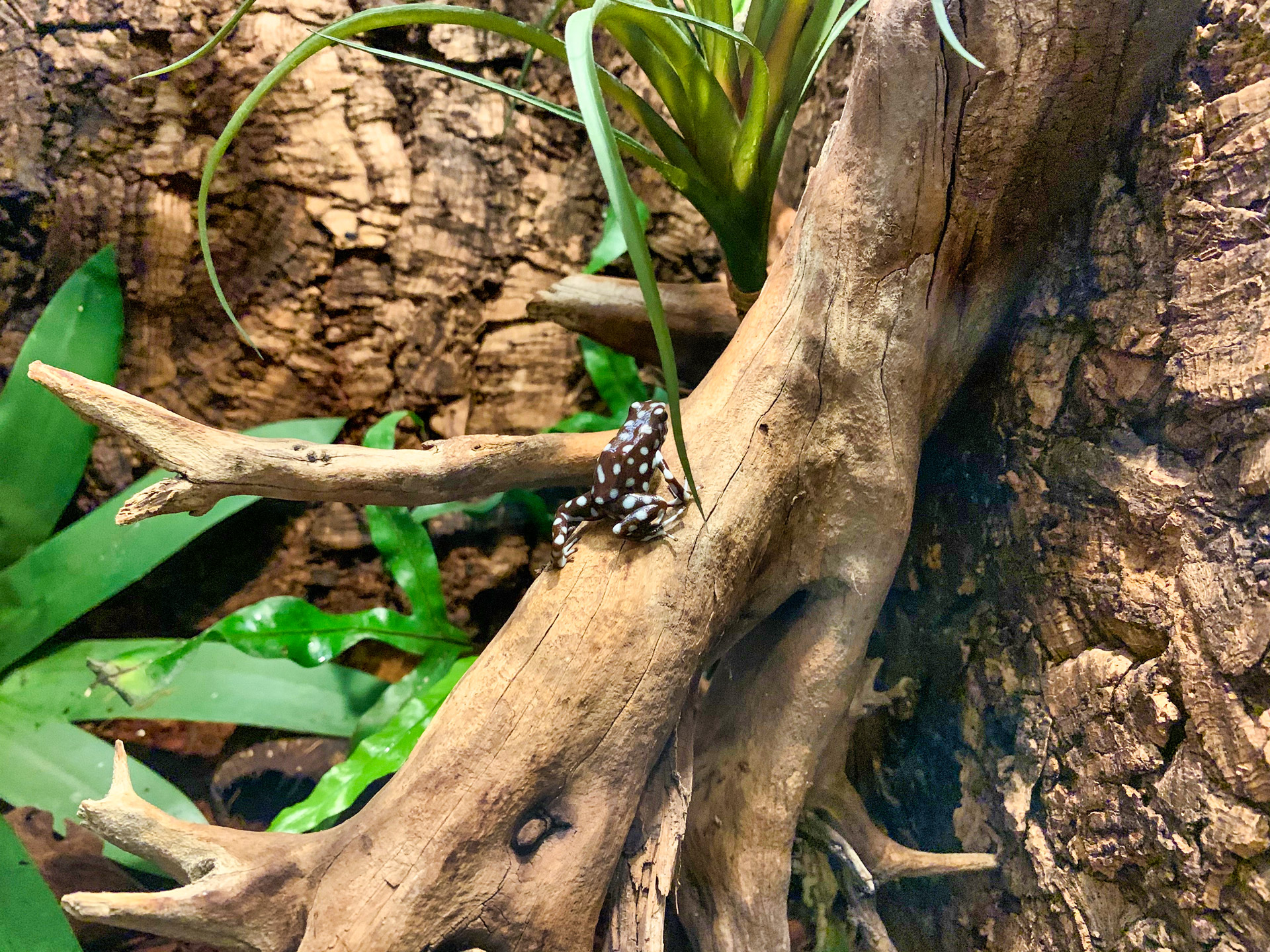 Aqua Terra Zoo