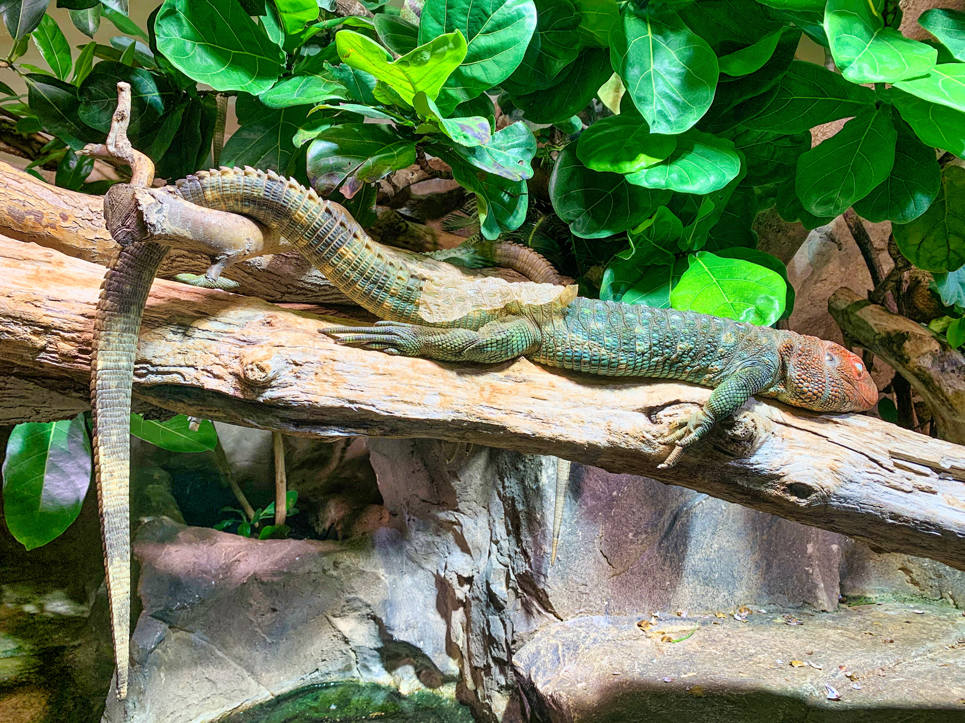 Aqua Terra Zoo