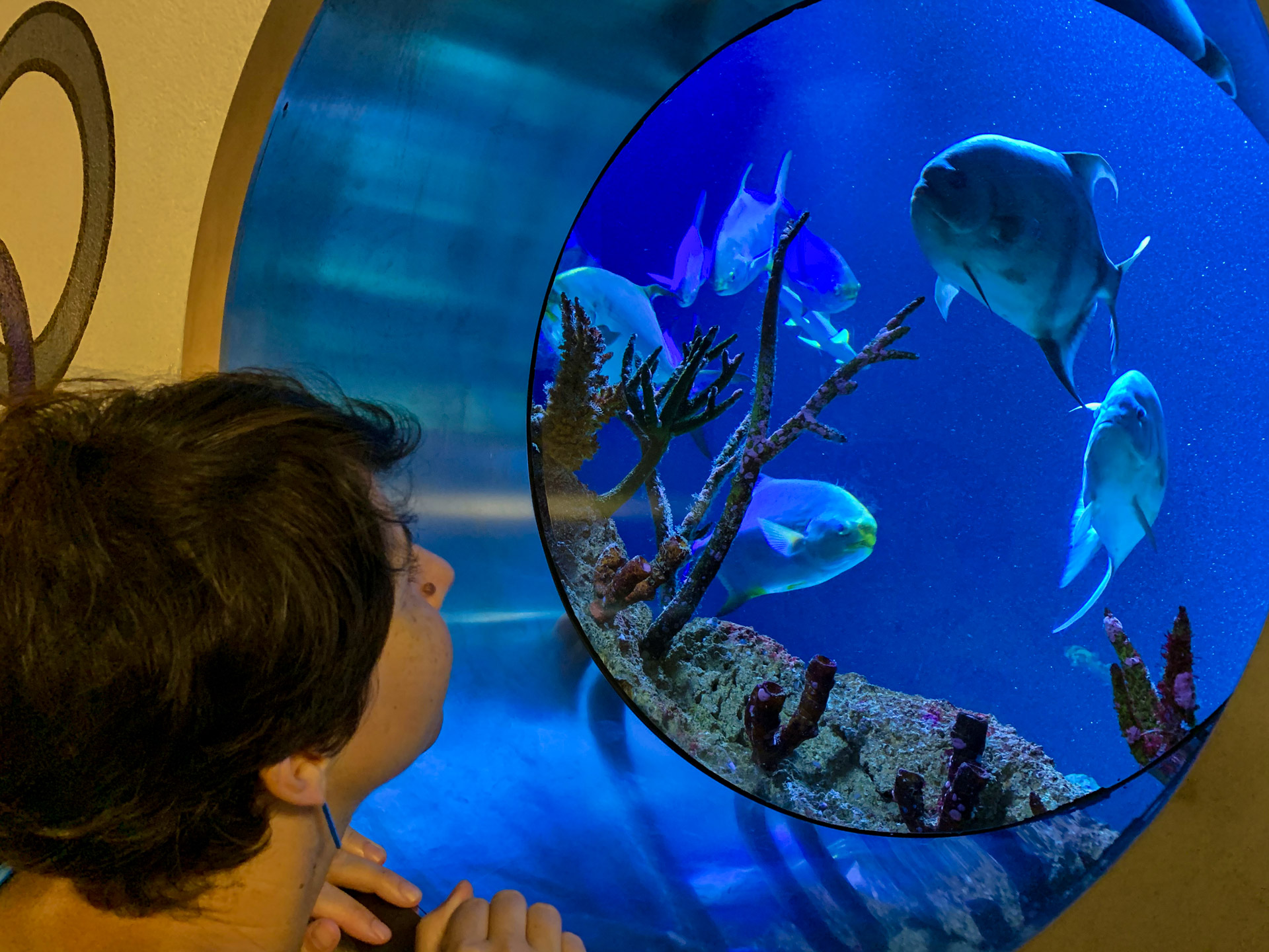 Aqua Terra Zoo
