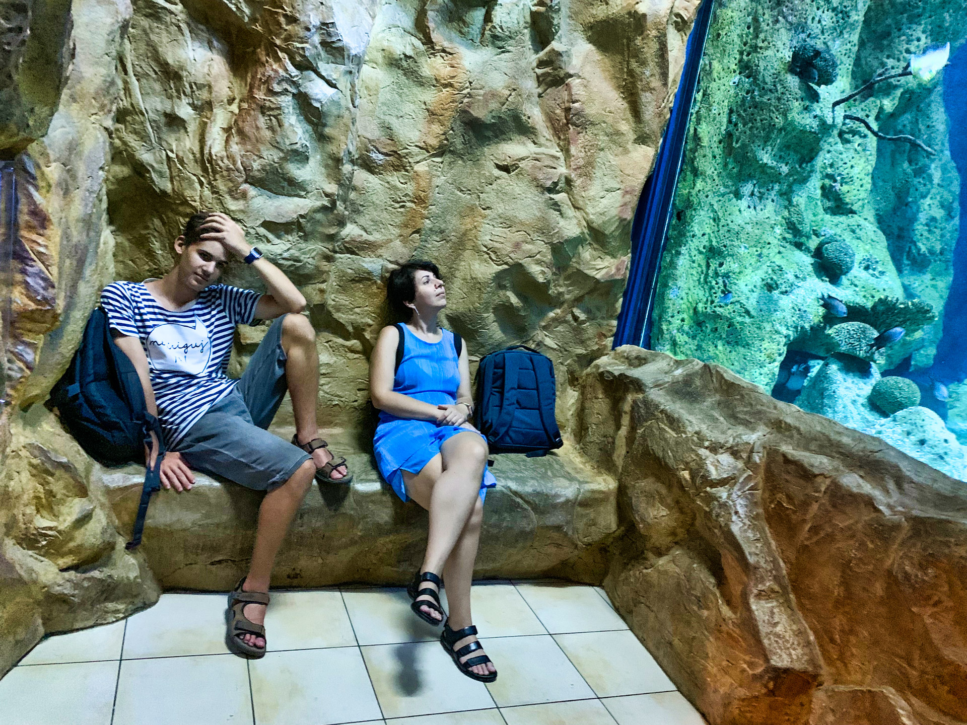 Aqua Terra Zoo