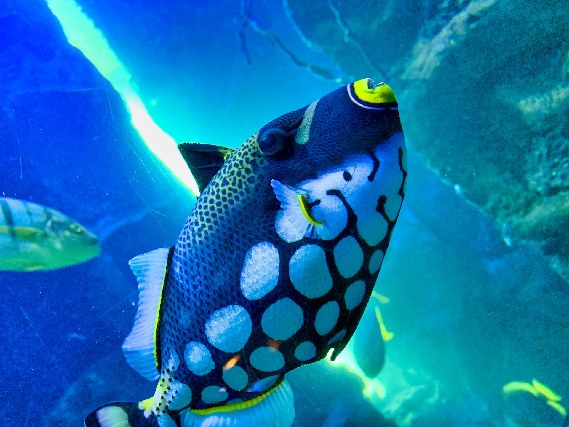 Aqua Terra Zoo