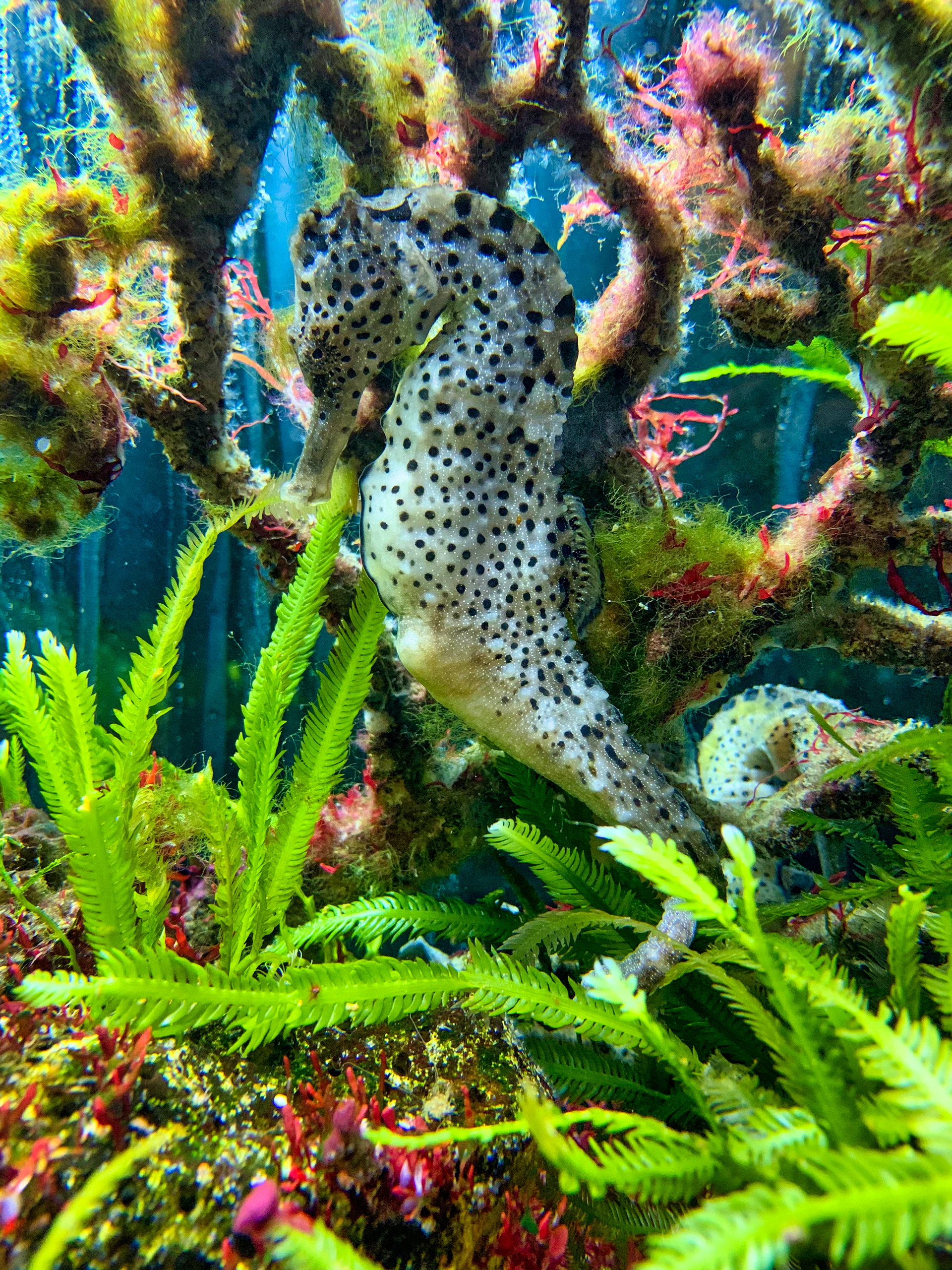 Aqua Terra Zoo