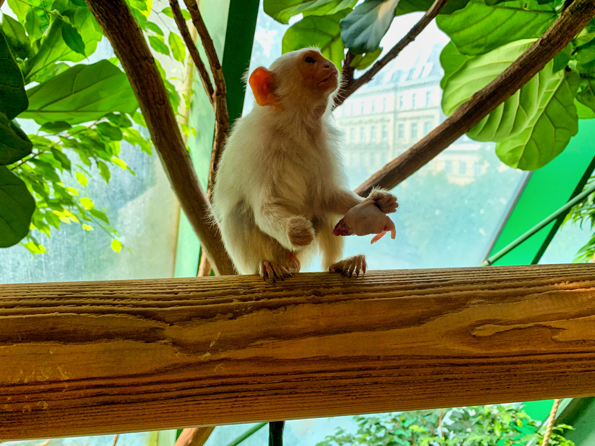 Aqua Terra Zoo