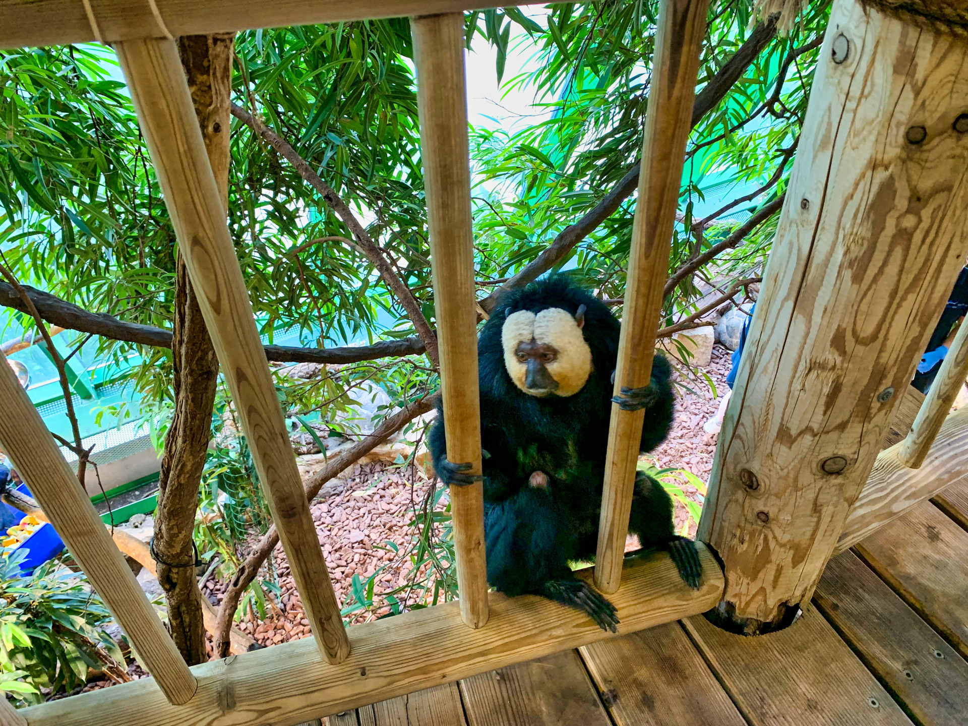 Aqua Terra Zoo