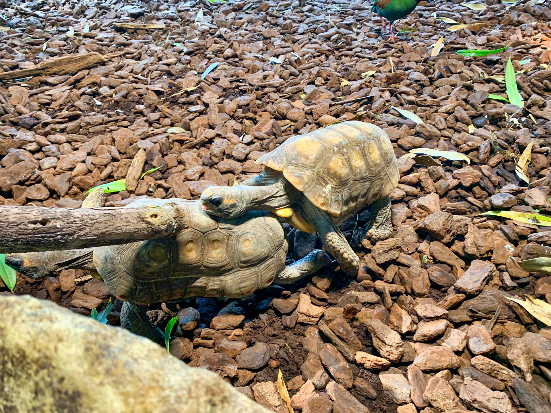 Aqua Terra Zoo