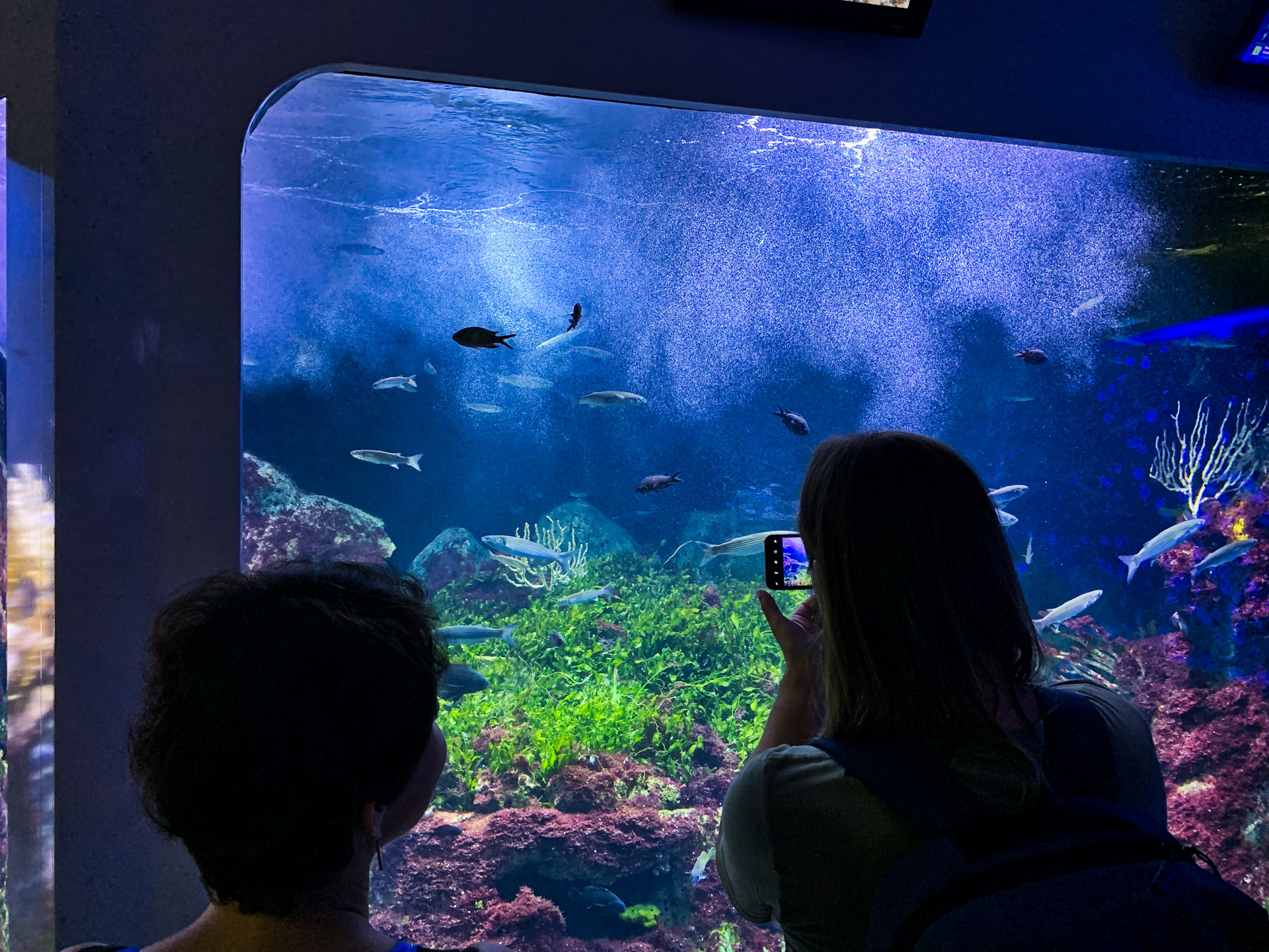Aqua Terra Zoo